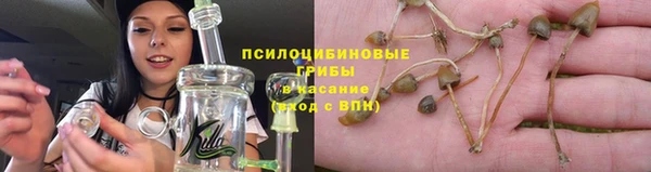 прущие грибы Верхнеуральск